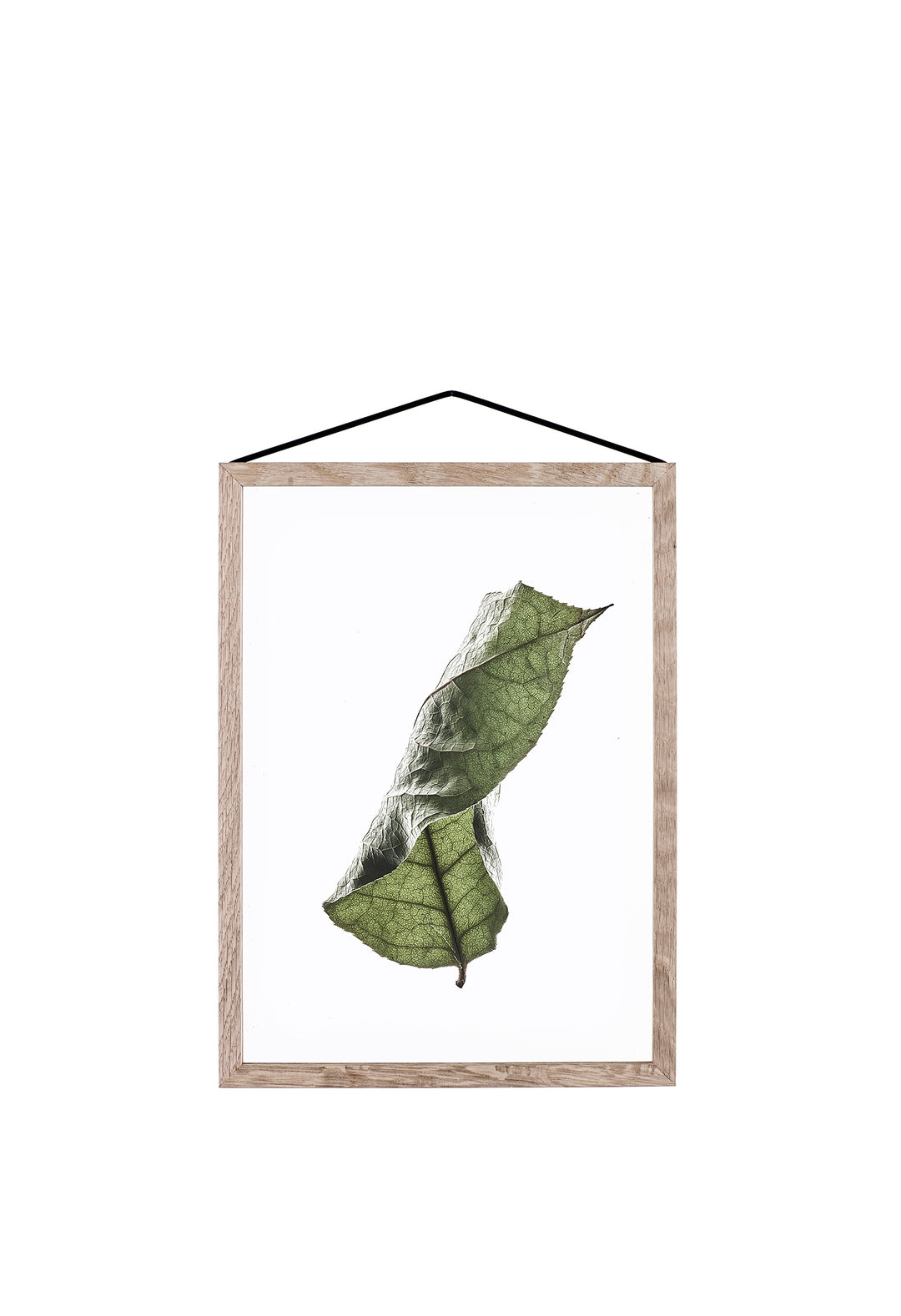 FLOATING LEAVES - durchsichtiges Poster | Moebe