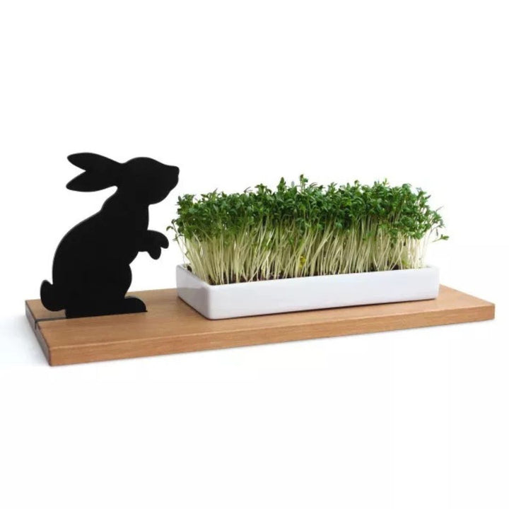 BUNNY - cress bowl | side by side