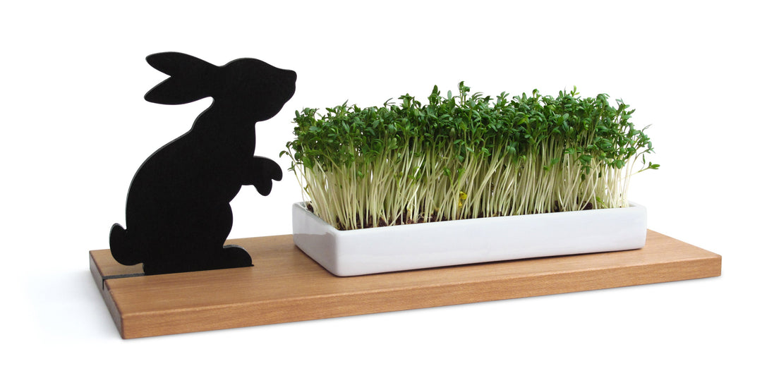 Cress bowl - HASE | side by side