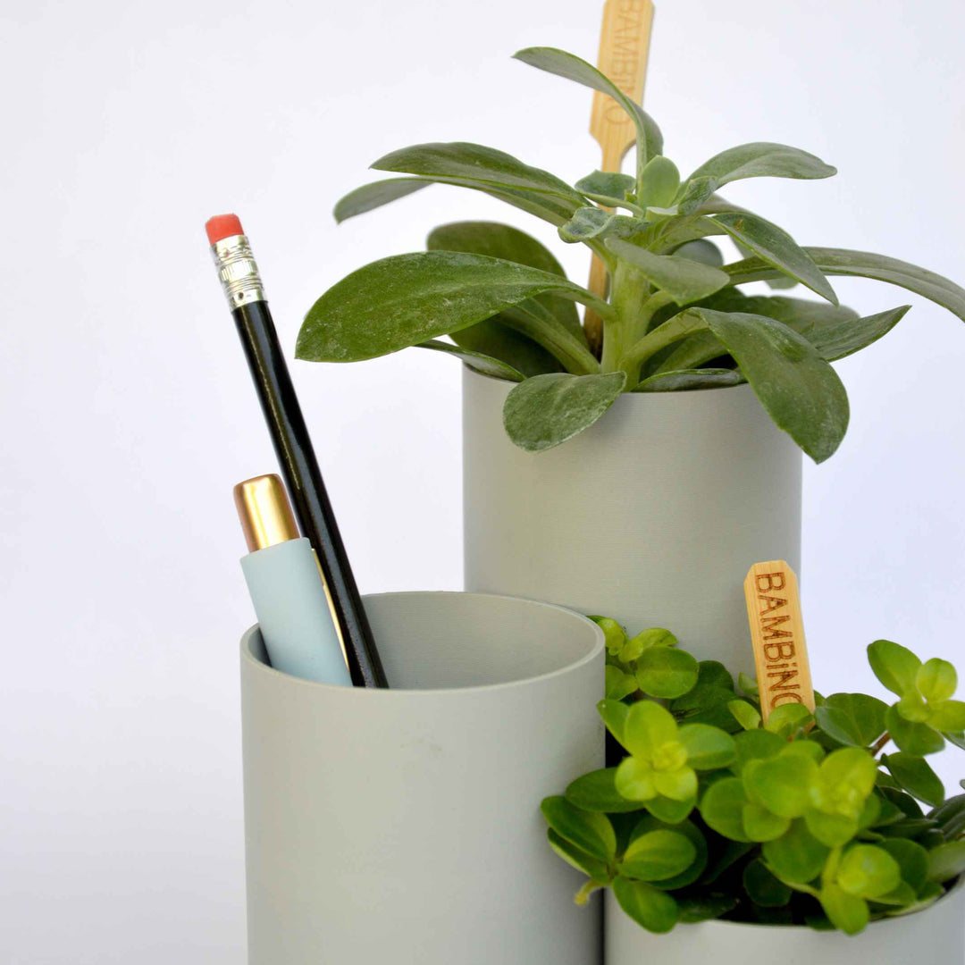 Organizer and plant holder - OFFICE PLANTY - black | Vaseboard