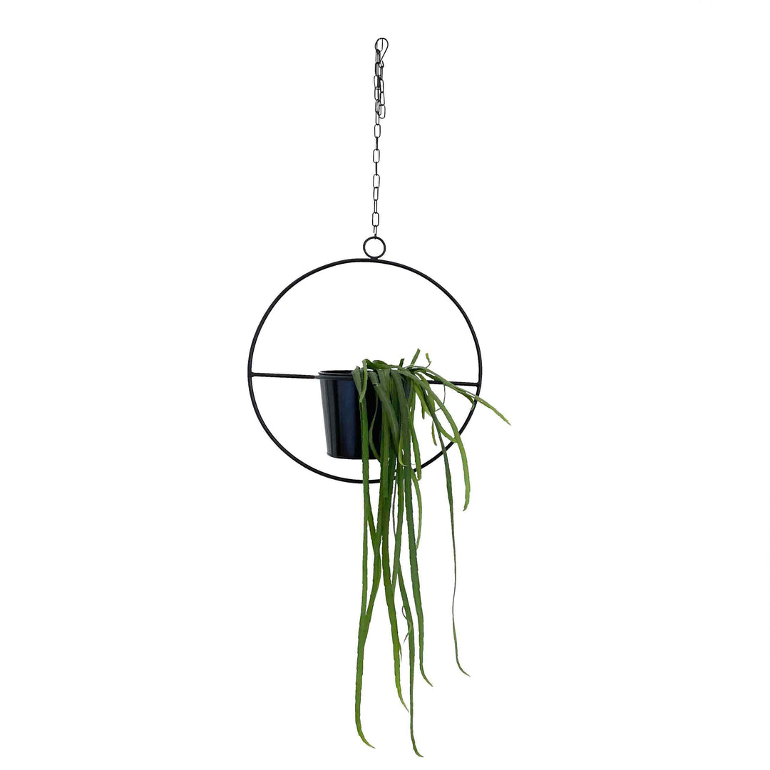 Plant pot - HANGING GARDEN - Decorative ring with flower pot | adorist.