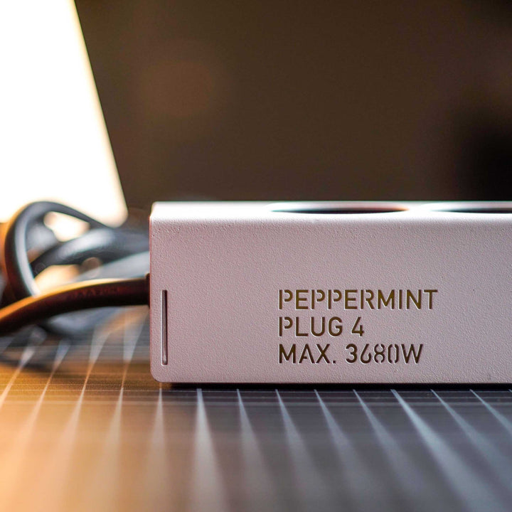 PLUG 4 | MULTI SOCKET POWER STRIPS | matte steel covering | Peppermint Products