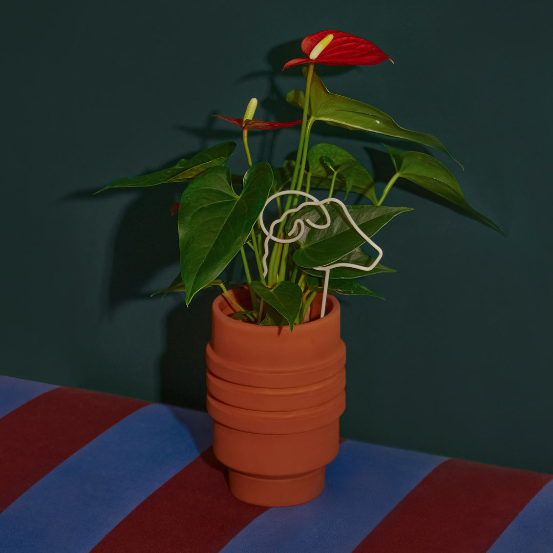 STRATA PLANT VESSEL - Terracotta-farbiger BLUMENTOPF & PFLANZGEFÄSS | Simone Brewster | Areaware