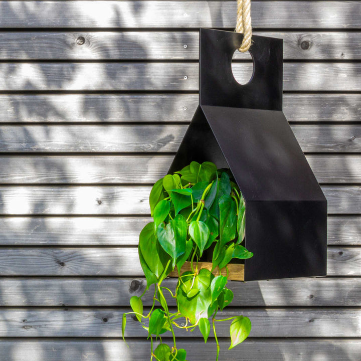 FLY! - hanging bird house - decorative element | finbeaux