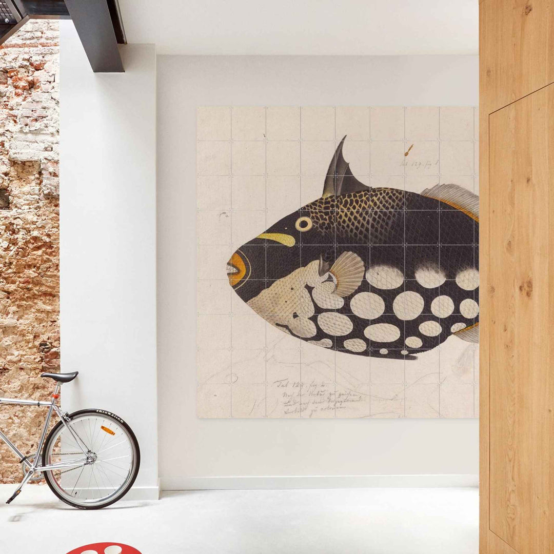 Wall decoration - BLACK FISH | IXXI