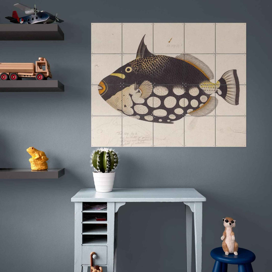 Wall decoration - BLACK FISH | IXXI