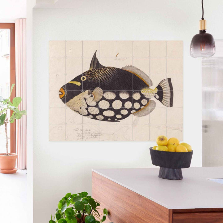 Wall decoration - BLACK FISH | IXXI