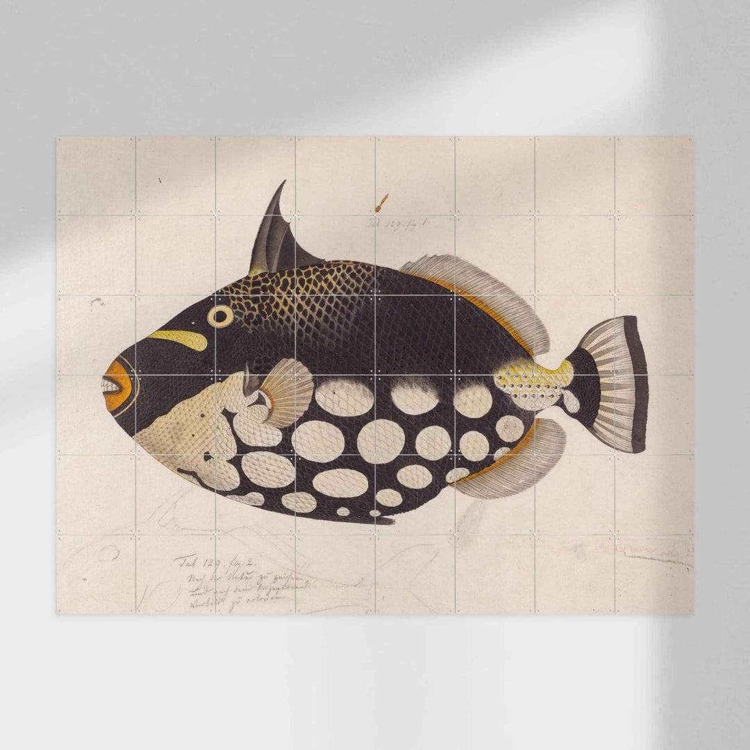 Wall decoration - BLACK FISH | IXXI