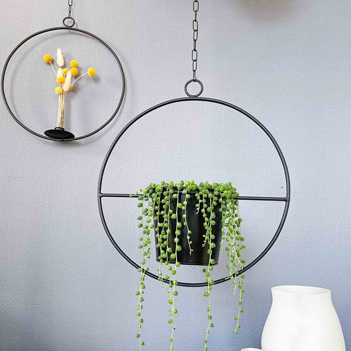 Plant pot - HANGING GARDEN - Decorative ring with flower pot | adorist.