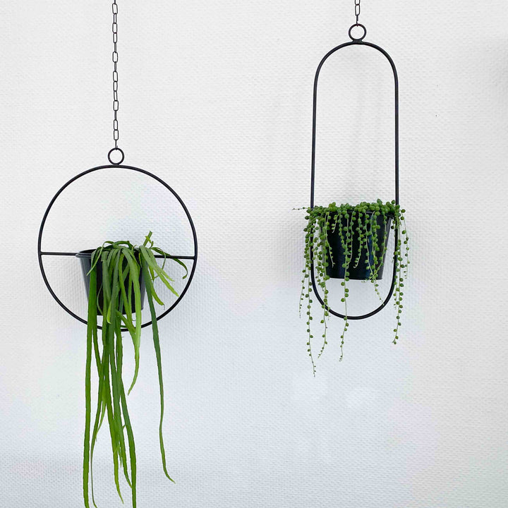 Plant pot - HANGING GARDEN - Decorative ring with flower pot | adorist.